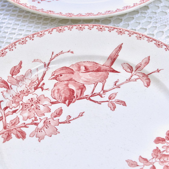 Image 1 of Plates Xixe Sarreguemines "Favori" Terre De Fer Pink / Red