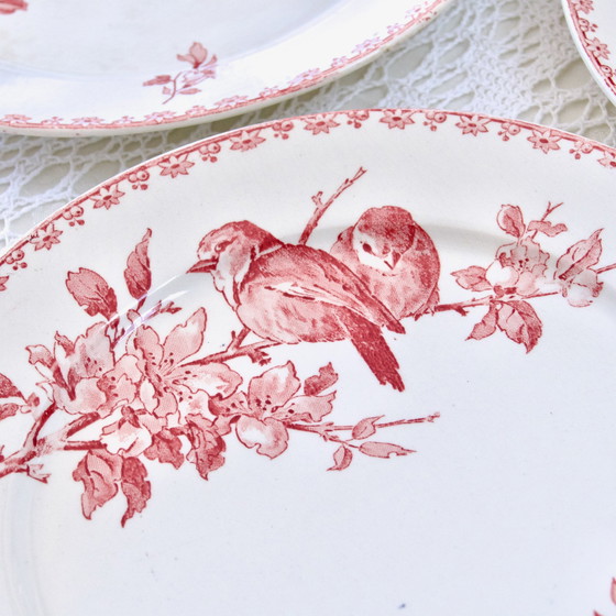 Image 1 of Plates Xixe Sarreguemines "Favori" Terre De Fer Pink / Red