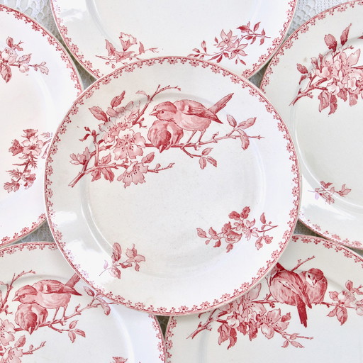 Plates Xixe Sarreguemines "Favori" Terre De Fer Pink / Red