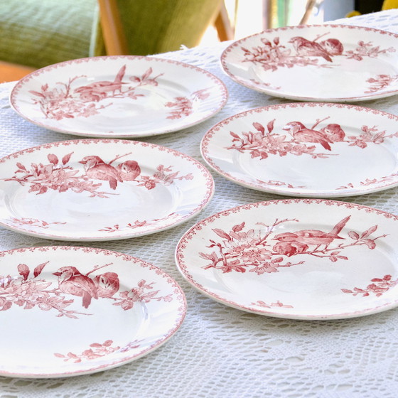 Image 1 of Plates Xixe Sarreguemines "Favori" Terre De Fer Pink / Red