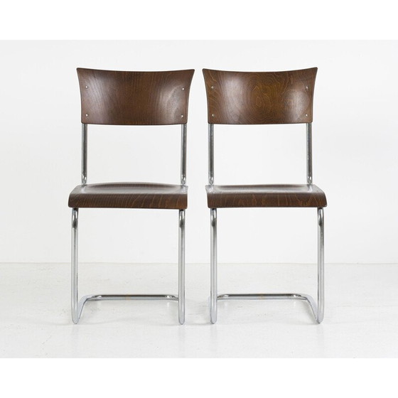 Image 1 of Coppia di sedie cantilever vintage S43 di Mart Stam per Thonet, anni '40