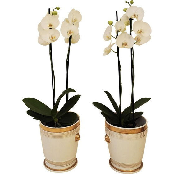 Image 1 of Pair of vintage porcelain planters from Paris, 1830