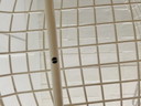 Knoll Bertoia bar stool (4 available)
