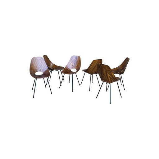 Mid-Century set of 6 Teak Medea Dining Chairs by Vittorio Nobili for Fratelli Tagliabue, 1956