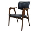 Pastoe FT14 armchair vintage