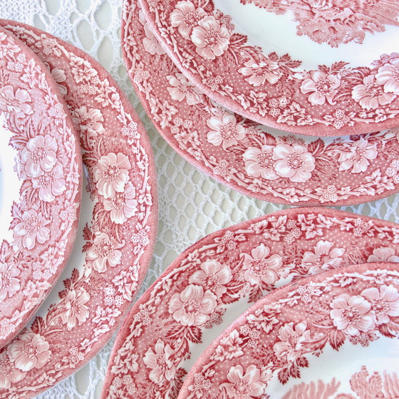 Image 1 of Plates Woodland Terre De Fer Rose Anglaise