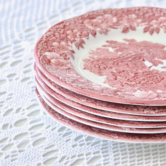 Image 1 of Plates Woodland Terre De Fer Rose Anglaise