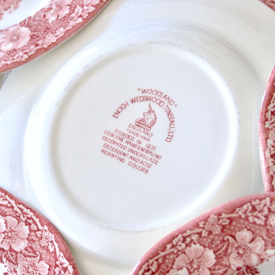 Image 1 of Plates Woodland Terre De Fer Rose Anglaise