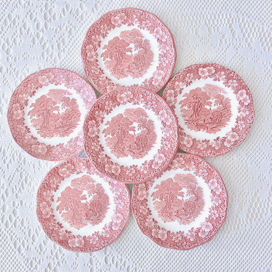 Image 1 of Plates Woodland Terre De Fer Rose Anglaise