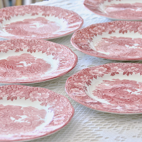 Image 1 of Plates Woodland Terre De Fer Rose Anglaise