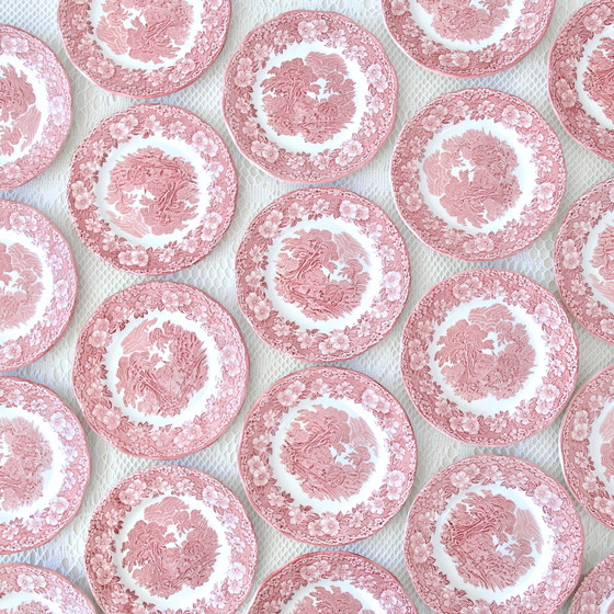 Image 1 of Plates Woodland Terre De Fer Rose Anglaise