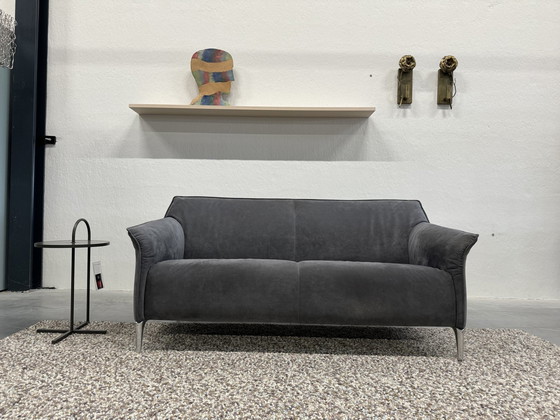 Image 1 of Leolux Mayon Sofa 2.5 Seater Gray Alcantara