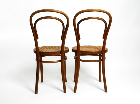 Image 1 of Two Original 1930S Coffee House Chairs Made Of Bentwood With Cane Weave By Zpm Radomsko Poland, A Former Thonet Factory