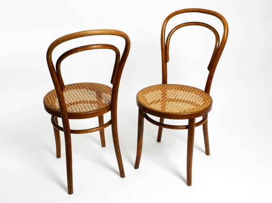 Image 1 of Two Original 1930S Coffee House Chairs Made Of Bentwood With Cane Weave By Zpm Radomsko Poland, A Former Thonet Factory