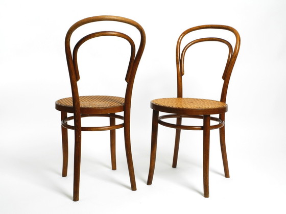 Image 1 of Two Original 1930S Coffee House Chairs Made Of Bentwood With Cane Weave By Zpm Radomsko Poland, A Former Thonet Factory