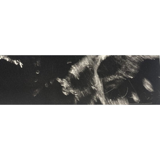 Image 1 of Vintage photograph "Nu de la Mer, Camargue" by Lucien Clergue, 1966