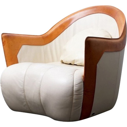 Vintage armchair with armrests in cowhide and wood for De Sede, Switzerland 1970