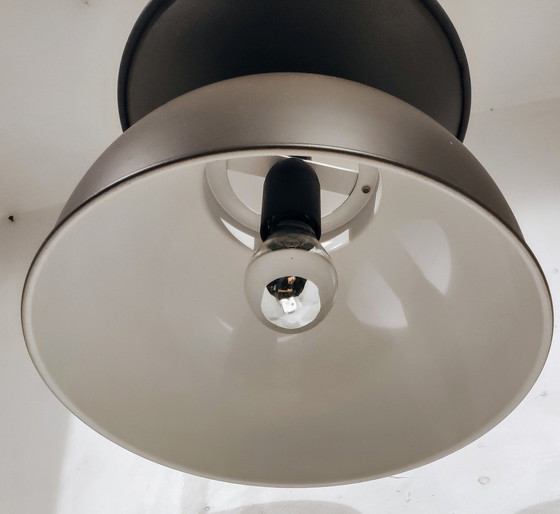 Image 1 of Anvia Lamp