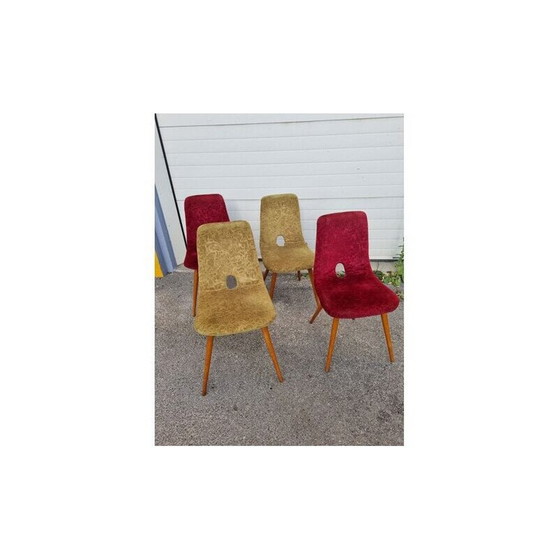 Image 1 of Set of 4 vintage chairs by Miroslav Navratil, Czech Republic 1960