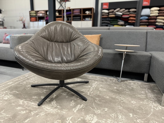 Image 1 of Label Hidde Armchair gray leather