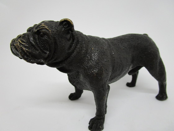 Image 1 of Bronze English Bulldog