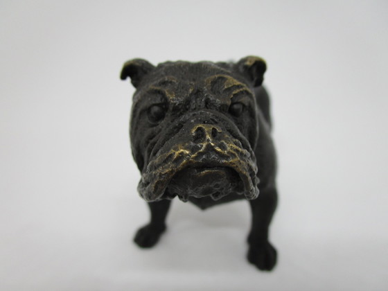 Image 1 of Bronze English Bulldog