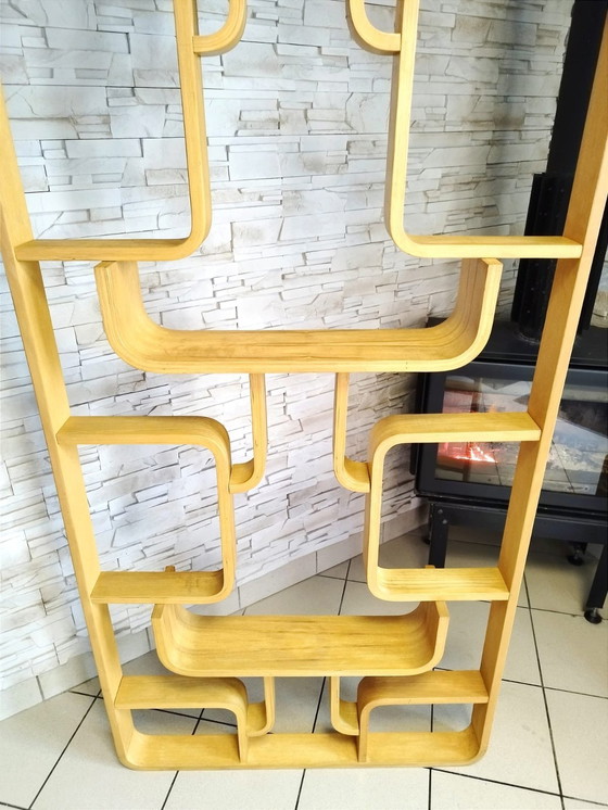 Image 1 of Mid-Century Room Divider Attributed To Ludvik Volak For Drevopodnik Holesov, Former Czechoslovakia, 1960S