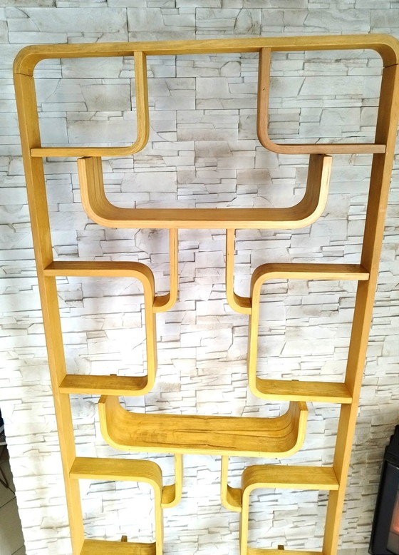 Image 1 of Mid-Century Room Divider Attributed To Ludvik Volak For Drevopodnik Holesov, Former Czechoslovakia, 1960S