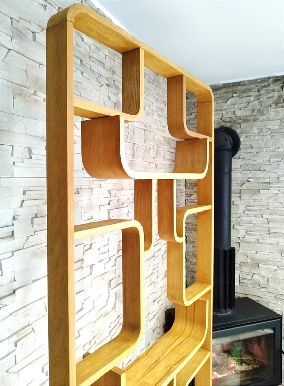 Image 1 of Mid-Century Room Divider Attributed To Ludvik Volak For Drevopodnik Holesov, Former Czechoslovakia, 1960S