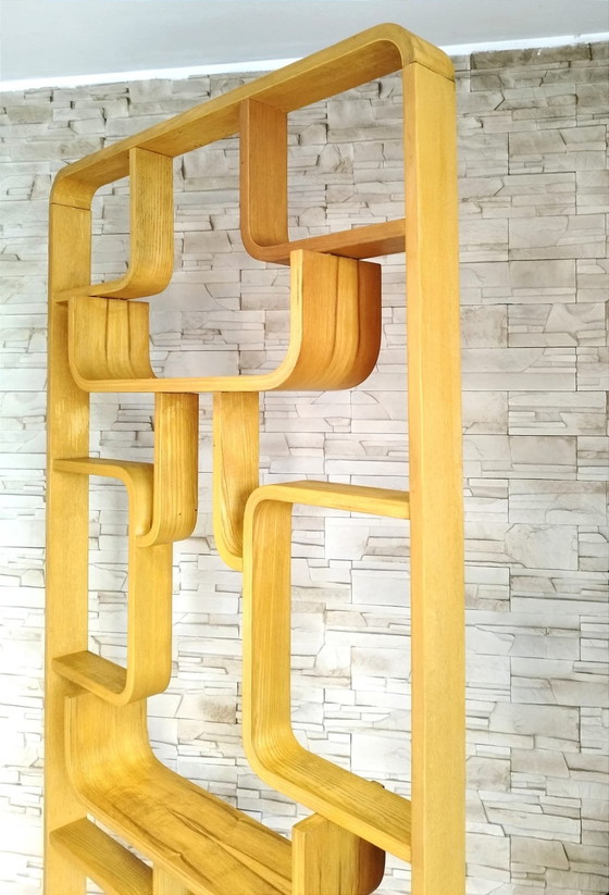 Image 1 of Mid-Century Room Divider Attributed To Ludvik Volak For Drevopodnik Holesov, Former Czechoslovakia, 1960S