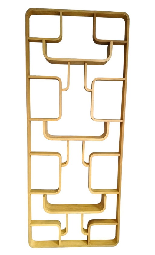 Mid-Century Room Divider Attributed To Ludvik Volak For Drevopodnik Holesov, Former Czechoslovakia, 1960S