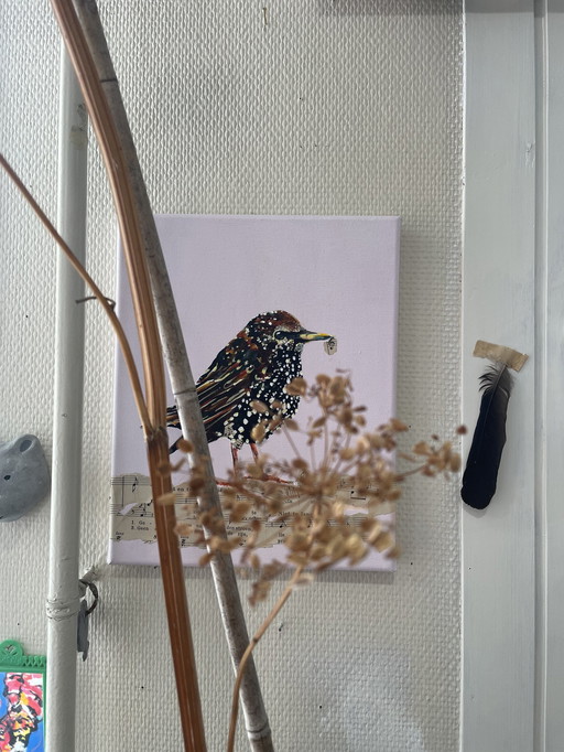 Portrait Of Young Starling