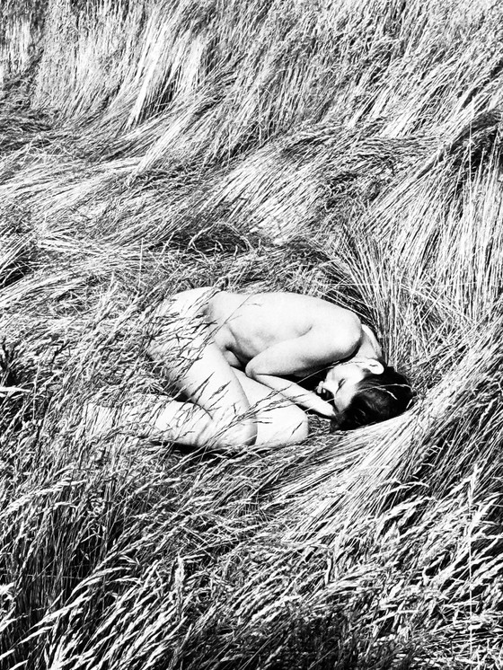 Image 1 of Michel Pinel 1949-2022 Superb Nude Photo "Fetal Position" From 1985