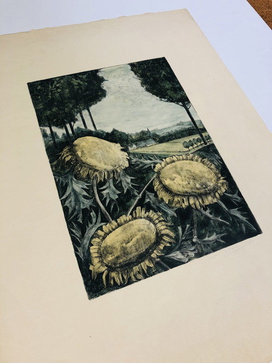 Image 1 of A.G. Dieperink - With this color etching you can easily put together your own inspiration wall.