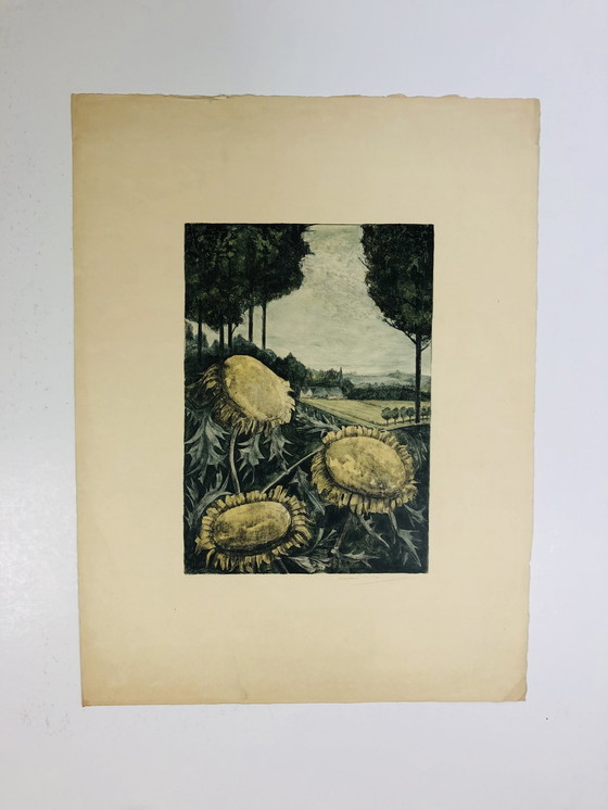 Image 1 of A.G. Dieperink - With this color etching you can easily put together your own inspiration wall.