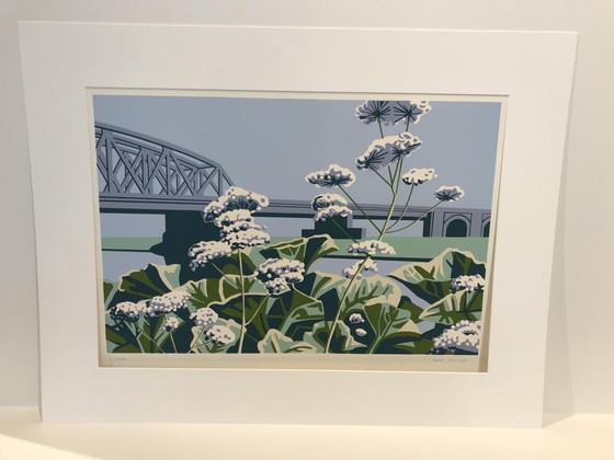 Image 1 of Roel Jonges - Grafiek