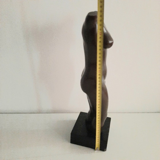 Image 1 of Nude Woman Torso