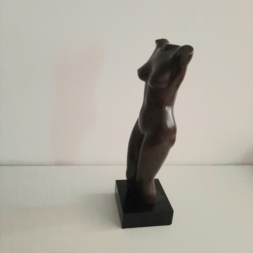 Nude Woman Torso