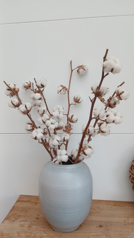 Vase Large With Cotton Branches