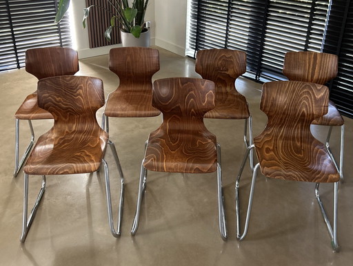 7x Adam Stegner Pagholz Flötotto Chairs Flamed Wood