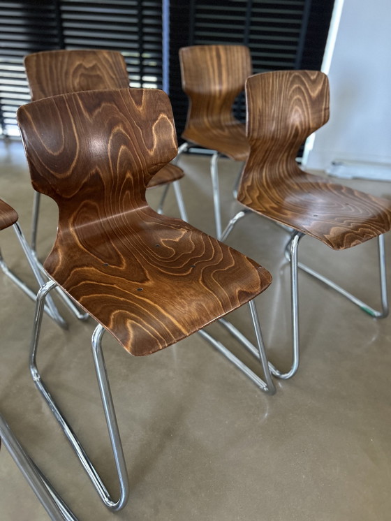 Image 1 of 7x Adam Stegner Pagholz Flötotto Chairs Flamed Wood