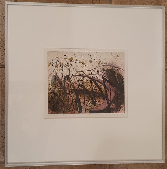 Image 1 of Etching: Hidden Source, Hans Vredegoor