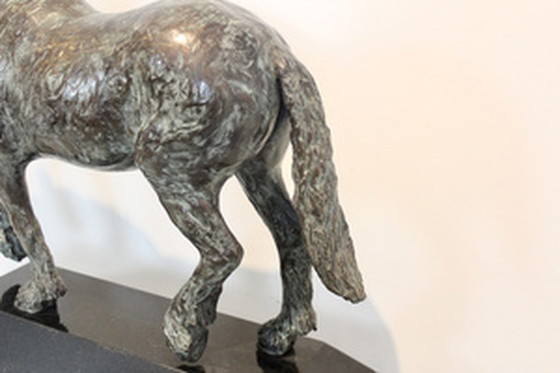 Image 1 of Cocky Duijvesteijn Bronze Horse Sculpture