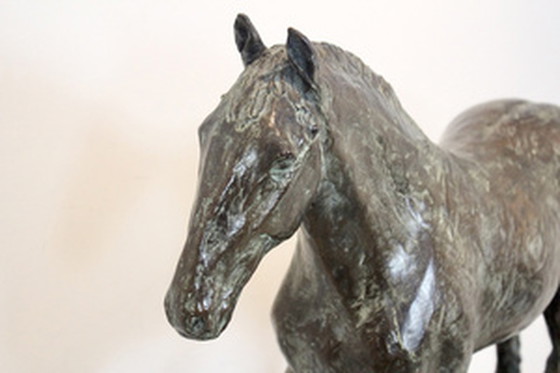 Image 1 of Cocky Duijvesteijn Bronze Horse Sculpture