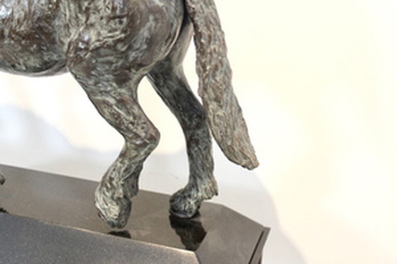 Image 1 of Cocky Duijvesteijn Bronze Horse Sculpture