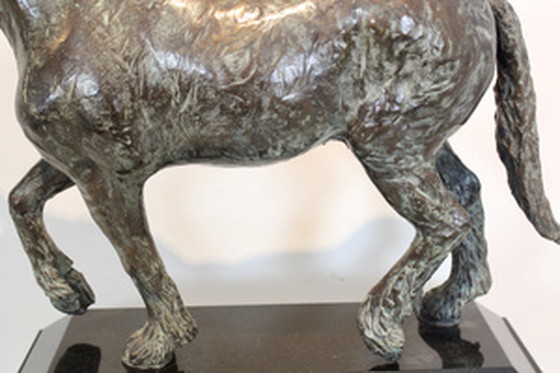 Image 1 of Cocky Duijvesteijn Bronze Horse Sculpture