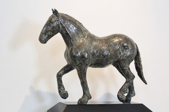 Image 1 of Cocky Duijvesteijn Bronze Horse Sculpture