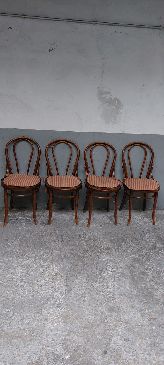 Image 1 of 4 x bentwood Bistro dining chairs