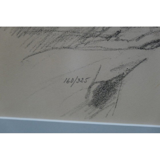 Image 1 of Litografia a colori d'epoca di Hugo Zuhr, 1960