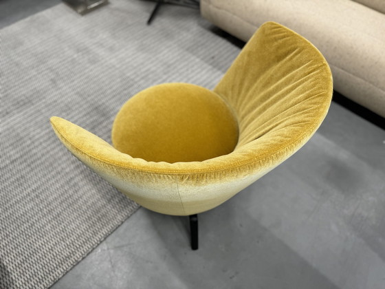 Image 1 of Weibel Weibel Kite Swivel armchair Yellow